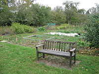 image of a bench seat and vegetable plot